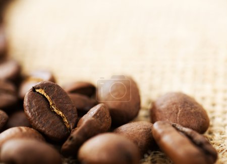 Des grains de café. Concentration sélective