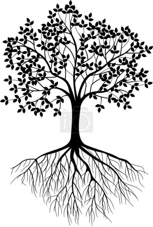 Silhouette d'arbre 