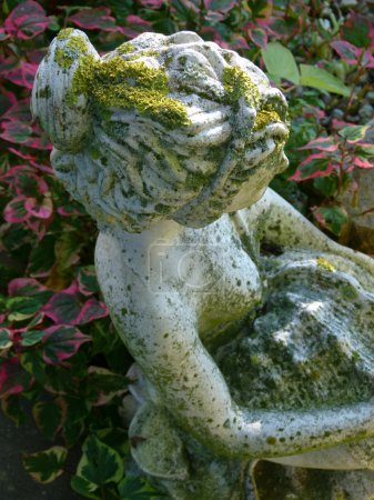 Belle stature dans le jardin d'été 