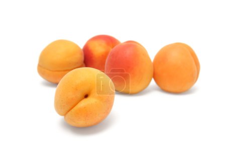 Gros plan sur les abricots mûrs 