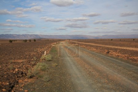 Route du désert 