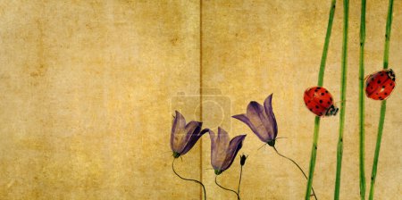 Fond floral et élément design 