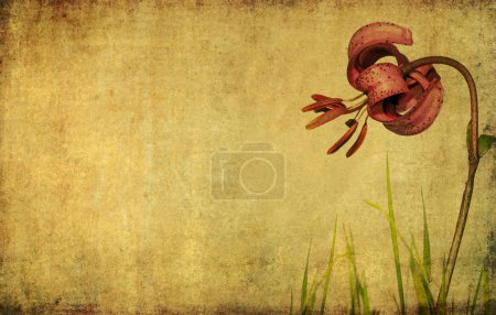 Fond floral et élément design 