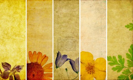 Bel ensemble de bannières avec des éléments floraux et des textures terreuses 