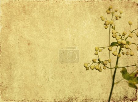 Image de fond floral terreux et élément de design 