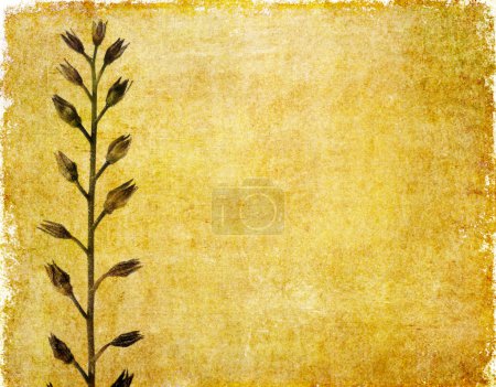 Image de fond floral terreux et élément de design 