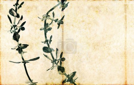 Image de fond floral avec une texture intéressante 