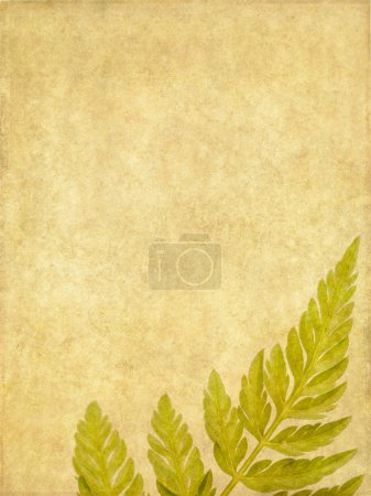 Belle image de fond avec des éléments floraux. élément de conception utile .