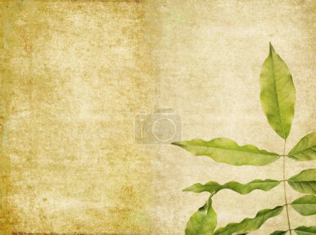 Belle image de fond avec des éléments floraux. élément de conception utile .