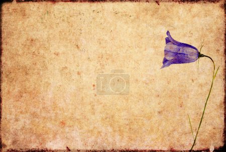 Image de fond terreux avec des éléments floraux. élément de conception utile .