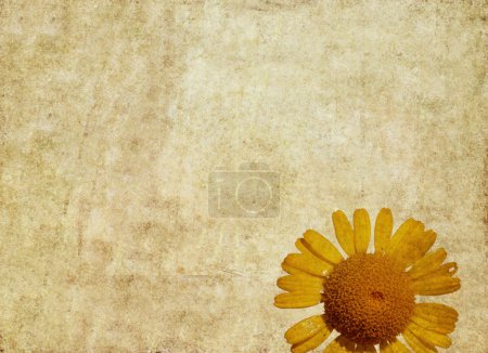 Image de fond terreux avec des éléments floraux. élément de conception utile .