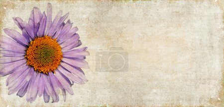 Image de fond terreux avec des éléments floraux 