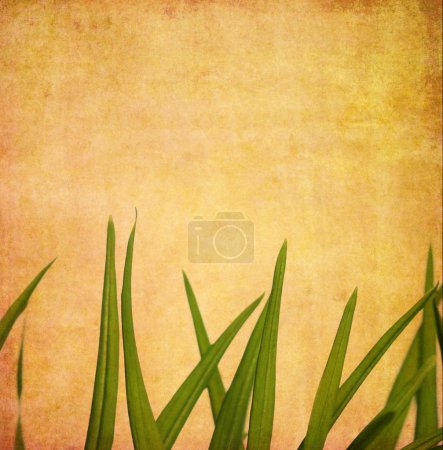 Belle image de fond avec des éléments floraux. élément de conception utile .