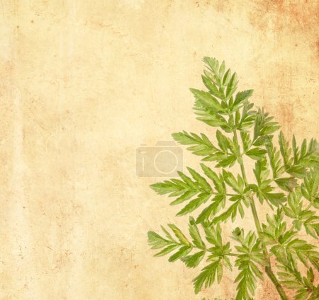 Belle image de fond avec des éléments floraux 