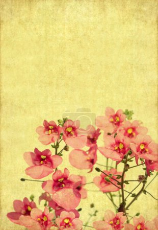 Belle image de fond avec des éléments floraux. élément de conception très utile .