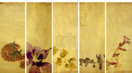 Belles textures d'arrière-plan ou bannières. éléments de conception très utiles .