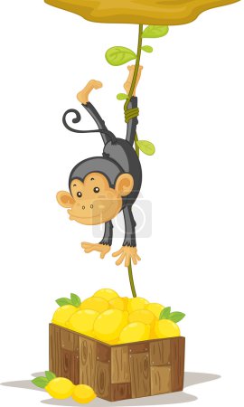 Singe