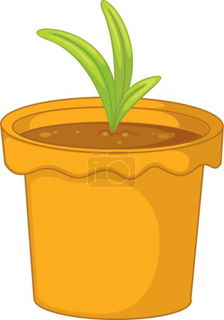 plante