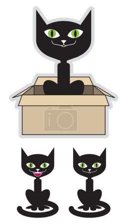 Chat noir dans une boîte 