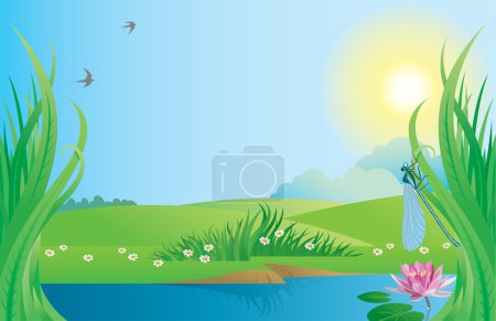Summer _ background 