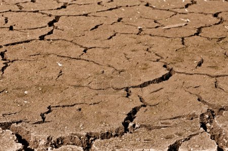 Grande fissure dans le sol ou la saleté 
