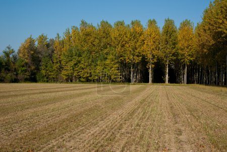 Paysage rural de la Vénétie, Italie 