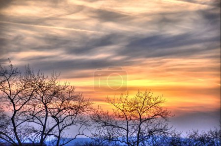 Beau coucher de soleil avec des silhouettes d'arbres à Fulda, Hesse, Allemagne 